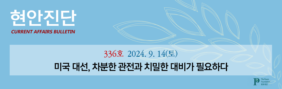 현안진단 336호